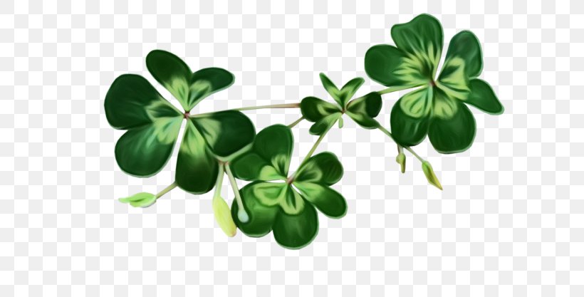 Saint Patricks Day, PNG, 700x417px, Watercolor, Celtic Knot, Clover, Drawing, Flower Download Free