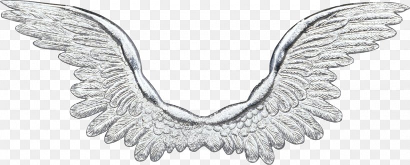 Buffalo Wing, PNG, 1280x517px, Buffalo Wing, Black And White, Body Jewelry, Feather, Jewellery Download Free