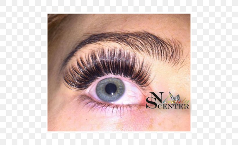 Eyelash Extensions BLINK Lash & Beauty Eye Liner Cosmetics, PNG, 500x500px, Watercolor, Cartoon, Flower, Frame, Heart Download Free