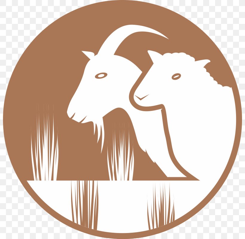 Goat Cattle Sheep Philosophy Logo, PNG, 800x800px, Goat, Artwork, Brand Management, Caprinae, Carnivoran Download Free