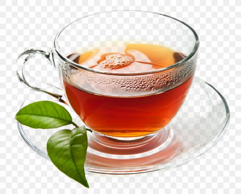 Maghrebi Mint Tea Beer Green Tea Mint Julep, PNG, 995x800px, Tea, Assam Tea, Beer, Beverage Can, Chinese Herb Tea Download Free