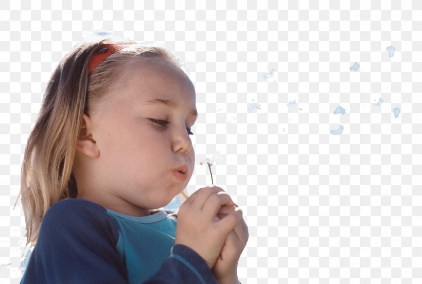 Przy Lesie. Przedszkole Child Air Conditioner Depurazione, PNG, 1280x863px, Watercolor, Cartoon, Flower, Frame, Heart Download Free
