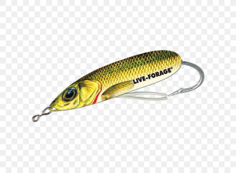 Spoon Lure Perch Fish AC Power Plugs And Sockets, PNG, 600x600px, Spoon Lure, Ac Power Plugs And Sockets, Bait, Fish, Fishing Bait Download Free