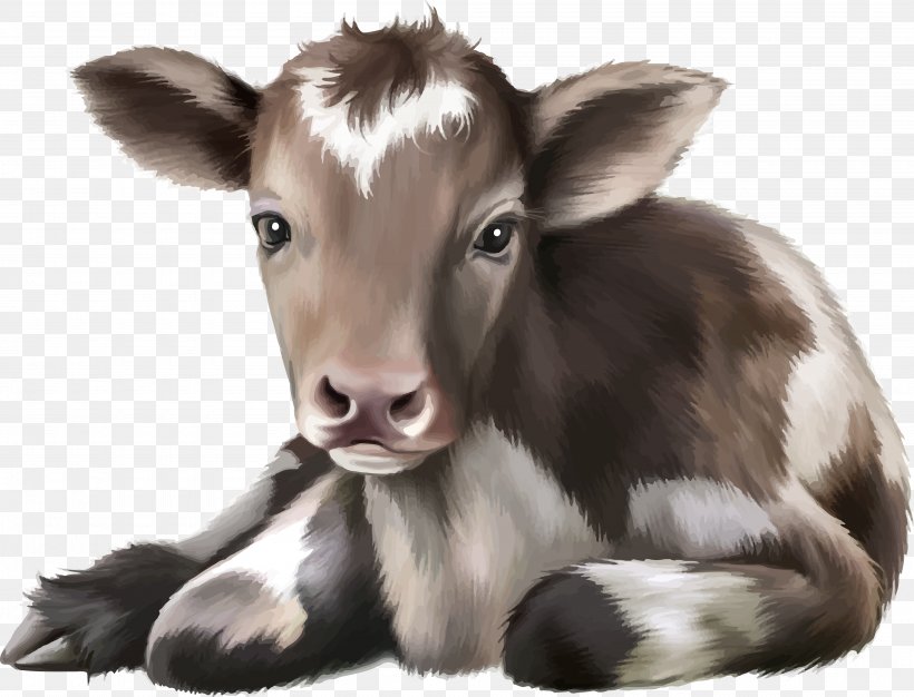 Calf Roping Cattle Stock Photography, PNG, 4000x3054px, Calf, Baby Bottles, Calf Roping, Cattle, Cattle Like Mammal Download Free