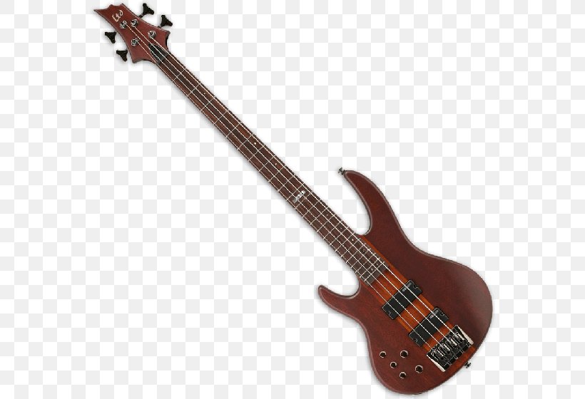 Eight-string Bass Guitar ESP Guitars Electric Guitar, PNG, 568x560px, Bass Guitar, Acoustic Electric Guitar, Bassist, Double Bass, Eightstring Bass Guitar Download Free