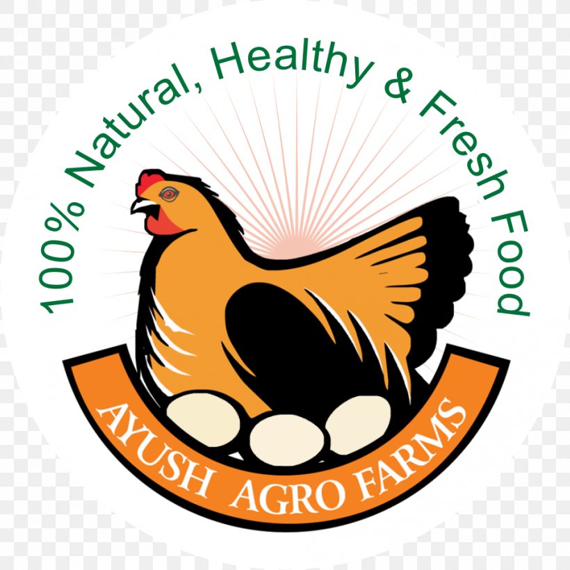 Food Asil Chicken Free-range Eggs Ayush Agro Farms, PNG, 958x958px, Food, Agribusiness, Area, Artwork, Asil Chicken Download Free