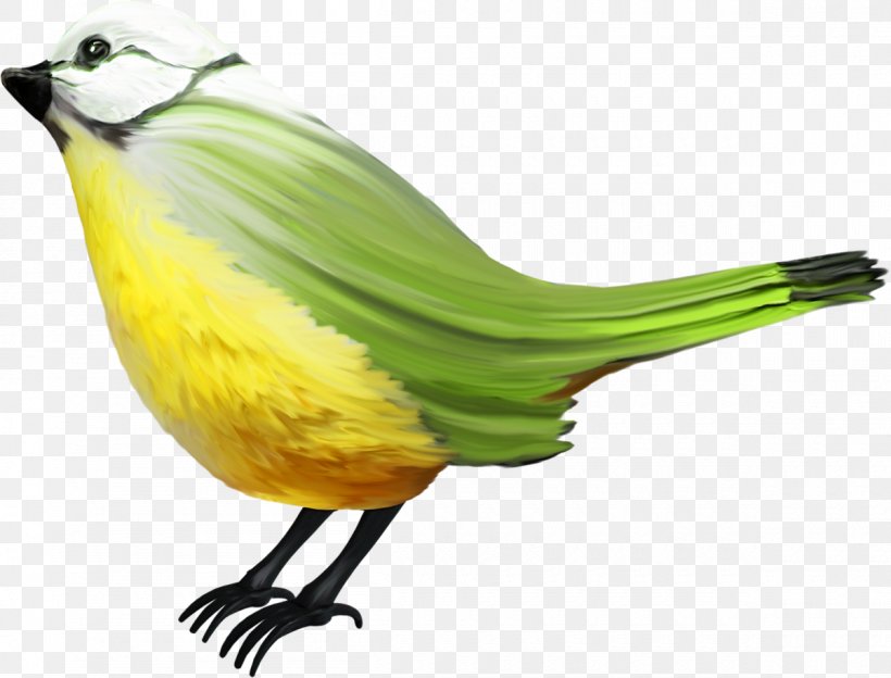 Bird Clip Art, PNG, 1200x914px, Bird, Beak, Cuteness, Drawing, Easter Download Free