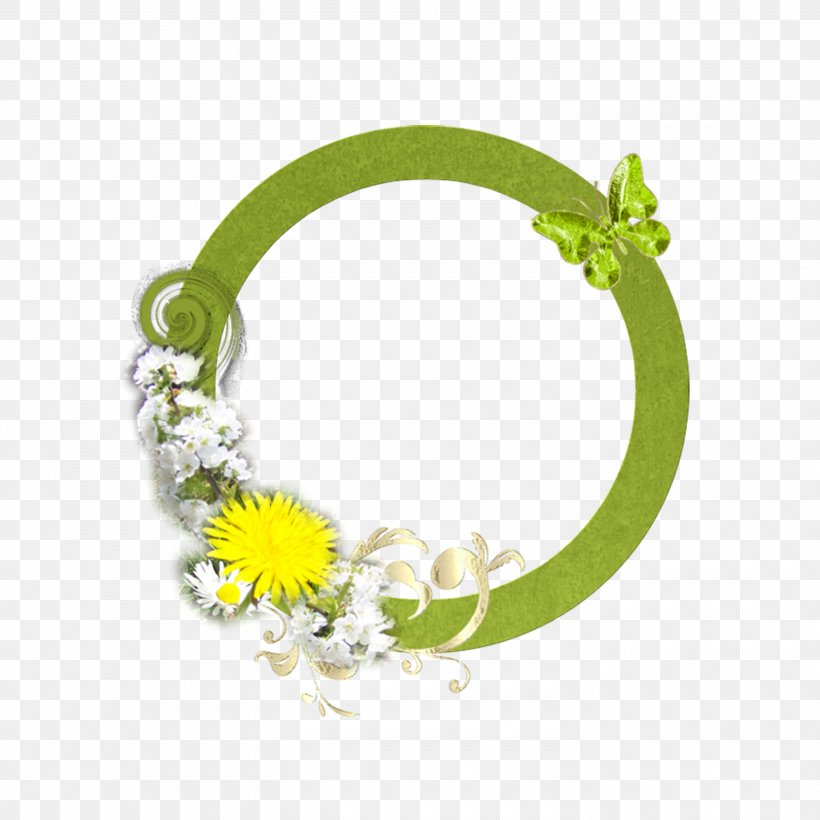 Circle, PNG, 3000x3000px, Picture Frame, Daum, Flora, Floral Design, Flower Download Free