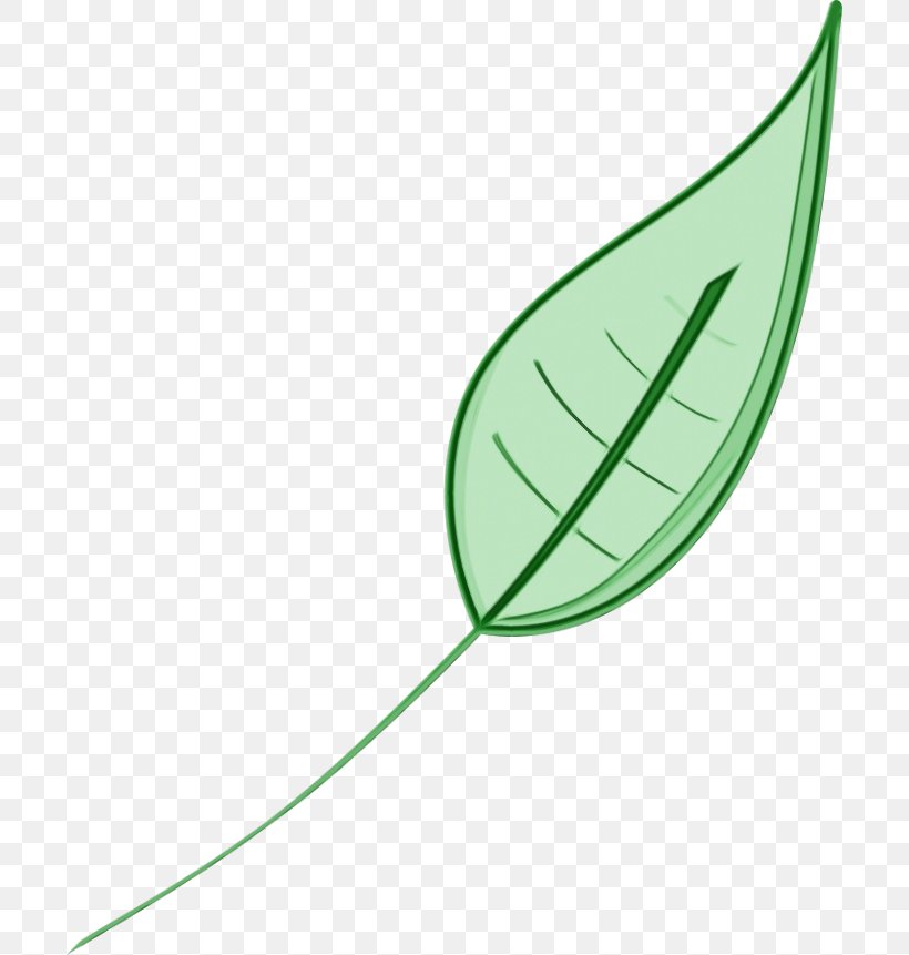 Green Leaf Watercolor, PNG, 700x861px, Watercolor, Autumn Leaf Color, Botany, Computer, Computer Software Download Free