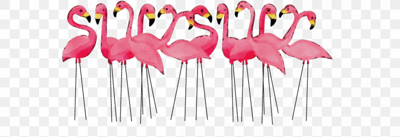 Flamingo, PNG, 1200x413px, Watercolor, Biology, Birds, Flamingo, Meter Download Free
