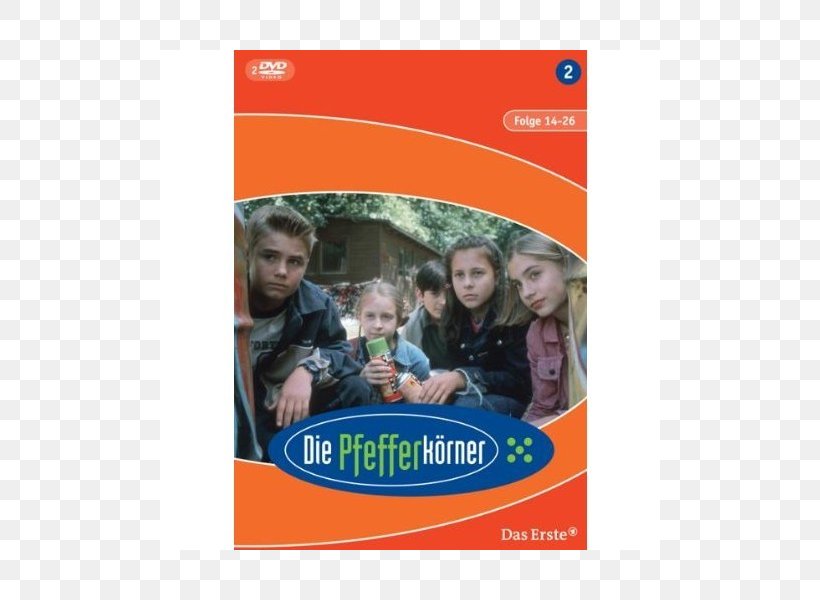 Germany Season Television Show Schloss Einstein/Staffel 2 Actor, PNG, 800x600px, Germany, Actor, Advertising, Banner, Dvd Download Free