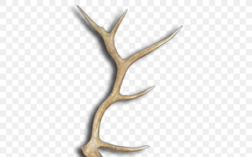 Antler Deer Moose Elk Drawer Pull, PNG, 512x512px, Antler, Bottle, Corkscrew, Deer, Drawer Download Free