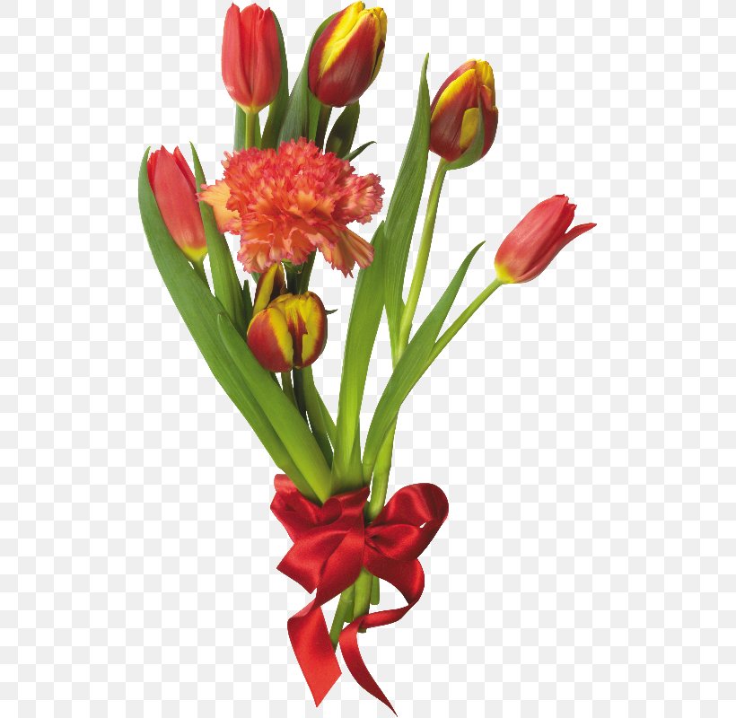 Flower Bouquet Tulip Clip Art, PNG, 513x800px, Flower Bouquet, Carnation, Cut Flowers, Digital Cameras, Digital Image Download Free
