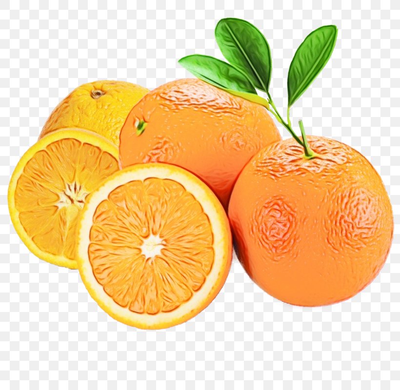 Orange, PNG, 800x800px, Watercolor, Citrus, Clementine, Food, Fruit Download Free