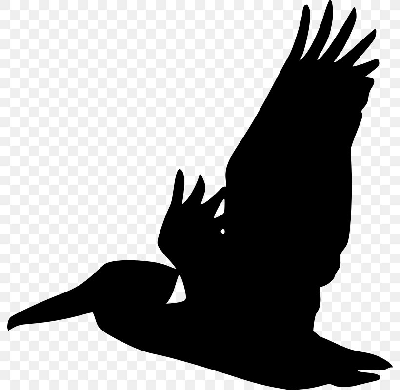 Pelican Bird Silhouette Clip Art, PNG, 790x800px, Pelican, Beak, Bird, Bird Flight, Bird Of Prey Download Free