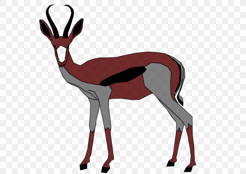 Springbok Antelope Gazelle Impala Clip Art, PNG, 2000x1414px, Springbok, Animal, Antelope, Antidorcas, Antler Download Free