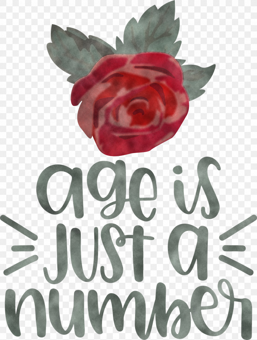 Birthday Age Is Just A Number, PNG, 2273x3000px, Birthday, Cut Flowers, Floral Design, Flower, Garden Download Free