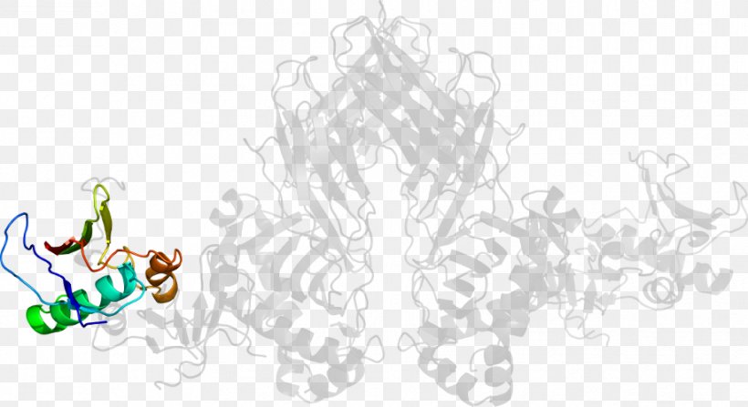 Graphic Design Line Art Clip Art, PNG, 916x500px, Line Art, Animal, Art, Artwork, Branch Download Free