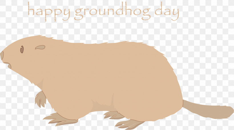 Groundhog Guinea Pig Marmot Beaver Animal Figure, PNG, 2999x1664px, Groundhog Day, Animal Figure, Beaver, Groundhog, Guinea Pig Download Free