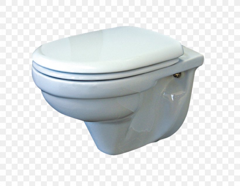 Toilet & Bidet Seats Plumbing Fixtures Vitreous China, PNG, 1000x776px, Toilet, Ceramic, Galvanization, Hardware, Nut Download Free