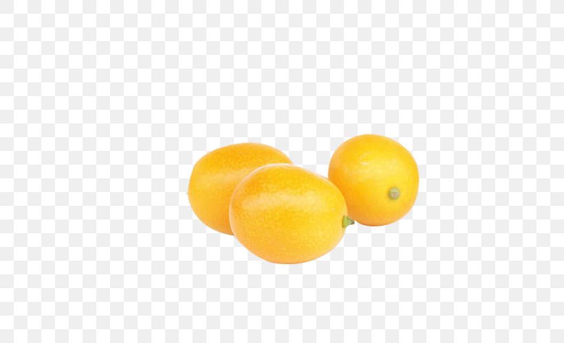 Clementine Lemon Grapefruit Citron Mandarin Orange, PNG, 500x500px, Clementine, Acid, Citric Acid, Citron, Citrus Download Free