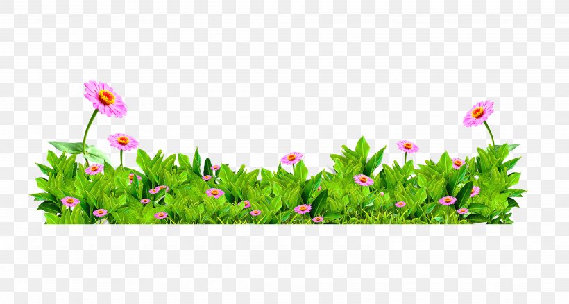 Decorative Patterns Of Green Flowers, PNG, 3744x2000px, Flower, Flora, Floral Design, Floristry, Flower Arranging Download Free