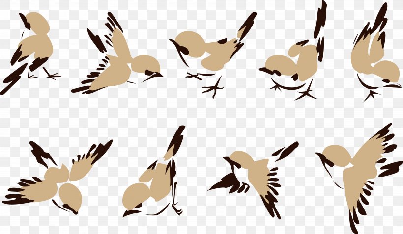 House Sparrow Bird Clip Art, PNG, 4923x2867px, Sparrow, Beak, Bird, Carnivoran, Drawing Download Free