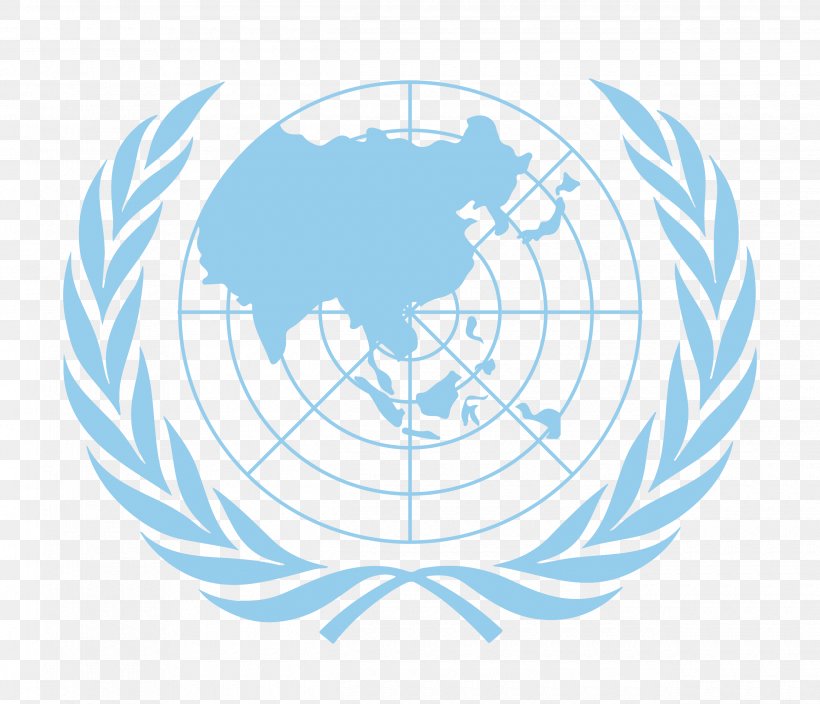 Model United Nations Hidayatullah National Law University Organization Delegate, PNG, 2480x2131px, Model United Nations, Asia, Committee, Convention, Debate Download Free