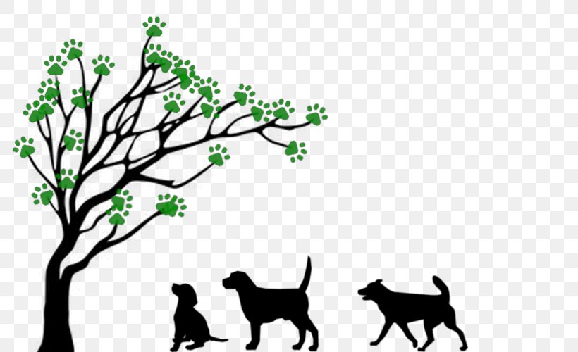 Tree Drawing Branch Clip Art, PNG, 800x500px, Tree, Area, Art, Black And White, Branch Download Free