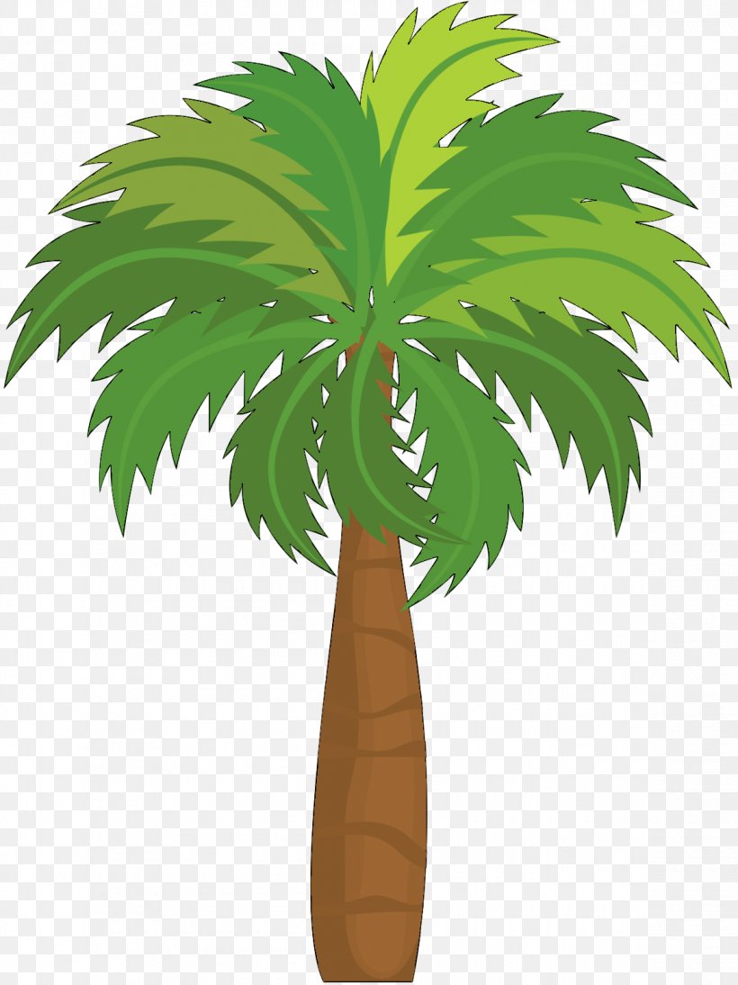 Asian Palmyra Palm Coconut Leaf Plant Stem Plants, PNG, 1160x1549px, Asian Palmyra Palm, Arecales, Borassus, Coconut, Flowering Plant Download Free