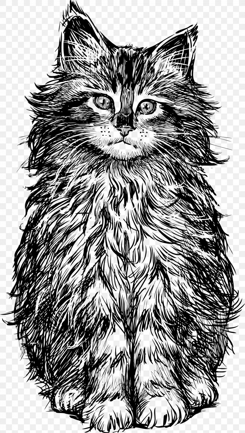 Cat Kitten Drawing, PNG, 2263x4000px, Cat, Art, Black And White, Black Cat, Carnivoran Download Free