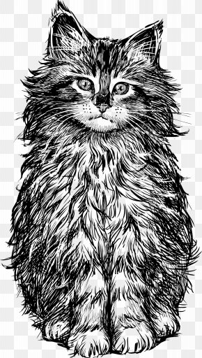 Cat Kitten White Clip Art, PNG, 1585x2106px, Cat, Artwork, Black, Black ...