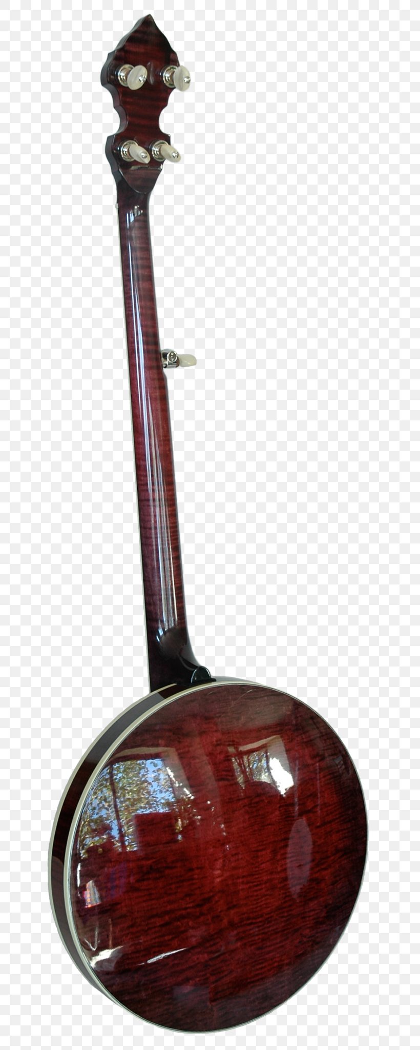 Surbahar Musical Instruments Banjo Musician Tanbur, PNG, 659x2048px, Watercolor, Cartoon, Flower, Frame, Heart Download Free