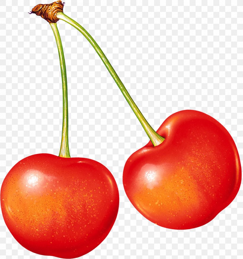 Sweet Cherry Cerasus Clip Art, PNG, 940x1000px, Sweet Cherry, Accessory Fruit, Acerola, Acerola Family, Apple Download Free