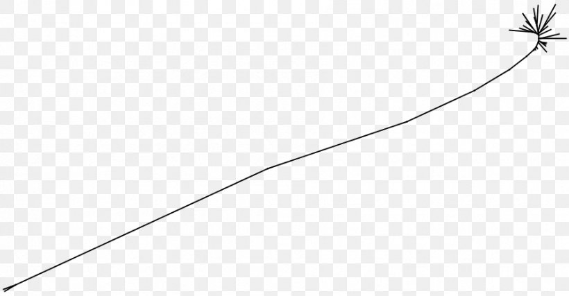 White Leaf Point Angle Line Art, PNG, 894x466px, White, Area, Black, Black And White, Leaf Download Free