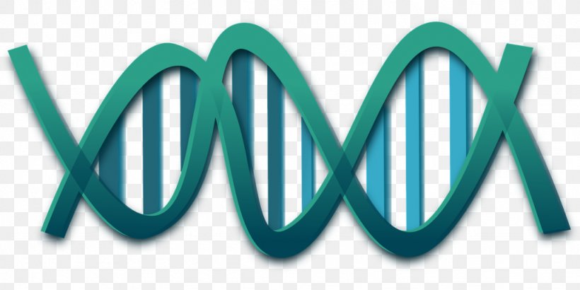 DNA Nucleic Acid Double Helix Genetics Clip Art, PNG, 1024x512px, Dna, Aqua, Brand, Dna Replication, Genetic Testing Download Free