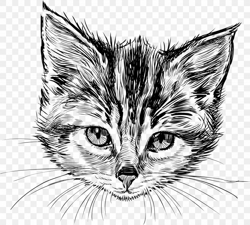Cat Kitten Drawing, PNG, 4000x3607px, Cat, Artwork, Black And White, Black Cat, Carnivoran Download Free