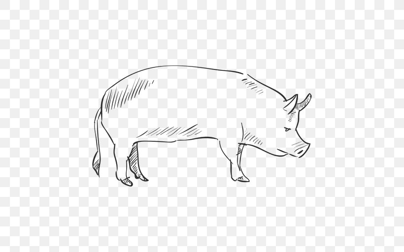 Pig Drawing, PNG, 512x512px, Pig, Artwork, Black And White, Carnivoran, Cattle Like Mammal Download Free