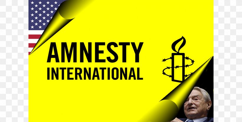 Amnesty International India Human Rights The Secret Policeman's Ball, PNG, 1700x863px, Amnesty International, Area, Banner, Brand, Human Rights Download Free