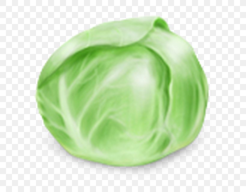 Cabbage Vegetable Food, PNG, 640x640px, Cabbage, Aubergines, Bok Choi, Food, Fruit Download Free