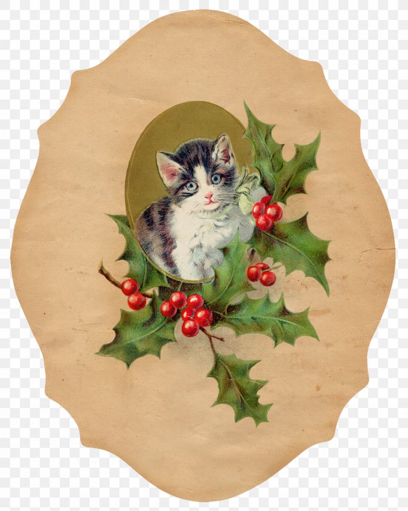 Cat Kitten Christmas Ornament Clip Art, PNG, 2073x2598px, Cat, Aquifoliaceae, Candy Cane, Christmas, Christmas Card Download Free