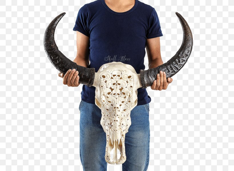 Human Skeleton Human Skull Cattle, PNG, 600x600px, Human Skeleton, Buffalo, Cattle, Cattle Like Mammal, Death Download Free