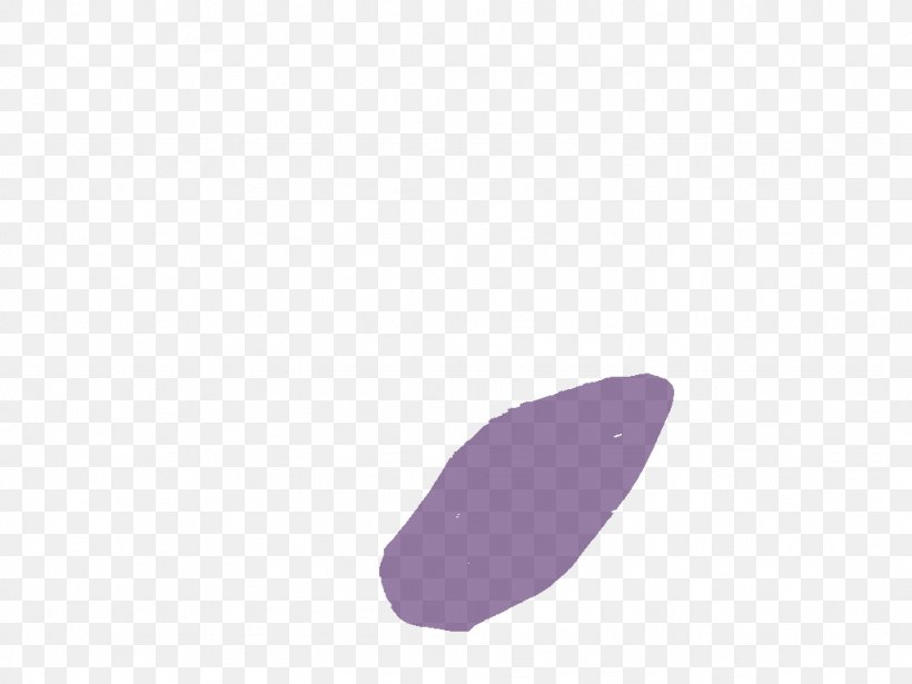 Lilac Lavender Violet Purple Magenta, PNG, 1024x768px, Lilac, Closeup, Lavender, Magenta, Purple Download Free