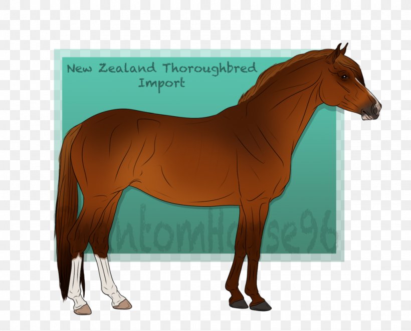 Mane Mustang Stallion Foal Mare, PNG, 1024x826px, Mane, Bridle, Colt, Foal, Grass Download Free