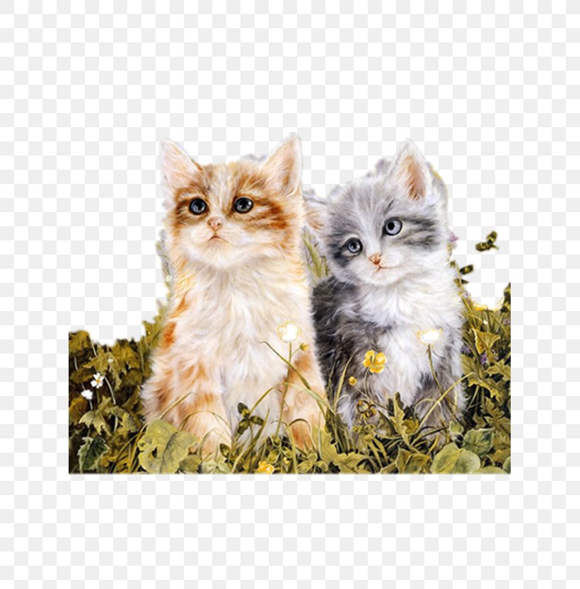 Oil Painting Reproduction Cat Kitten Paint By Number, PNG, 625x833px, Oil Painting Reproduction, Art, British Semi Longhair, Canvas, Carnivoran Download Free