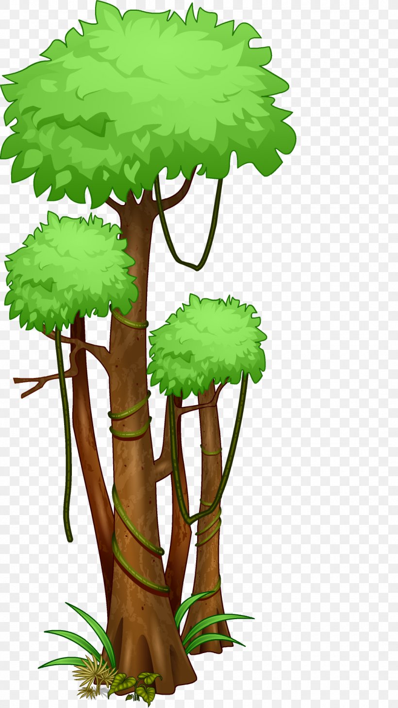 Tree Amazon Rainforest Jungle Tropical Rainforest, PNG, 1080x1920px, Tree, Amazon Rainforest, Branch, Drawing, Flower Download Free