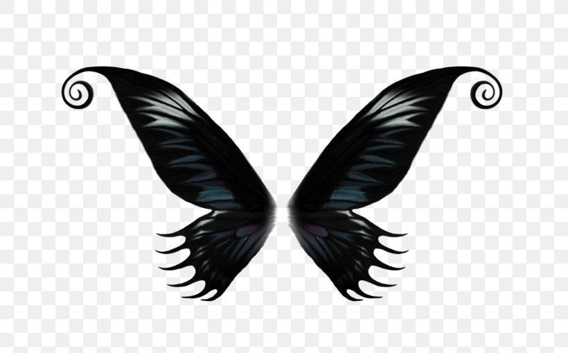 Butterfly, PNG, 700x509px, Butterfly, Button, Computer Software, Coreldraw, Feather Download Free