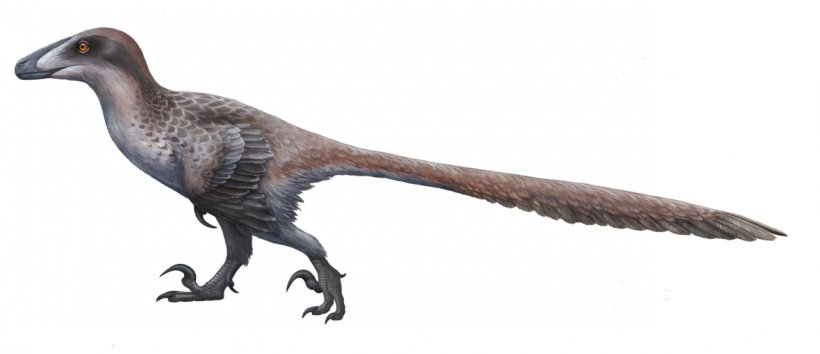 Dakotaraptor Deinonychus Sinornithosaurus Dromaeosaurus Utahraptor, PNG, 1280x554px, Dakotaraptor, Animal Figure, Beak, Bird, Deinonychus Download Free
