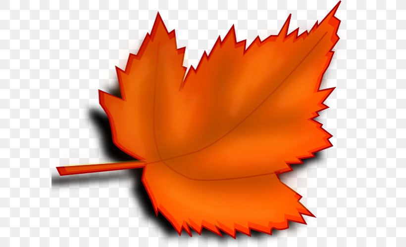 Desktop Wallpaper Autumn Leaf Color Clip Art, PNG, 612x500px, Leaf, Autumn, Autumn Leaf Color, Flower, Maple Download Free