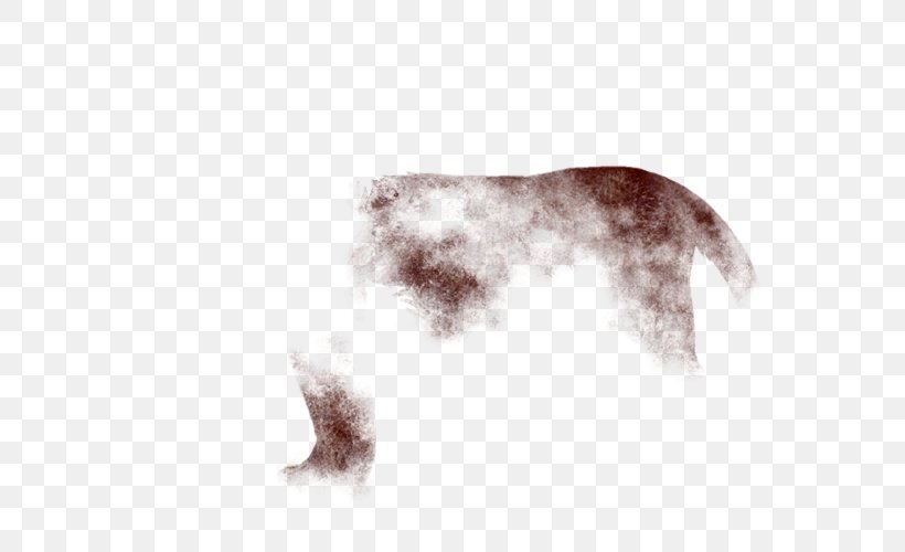 Fur Canidae Mammal Skin Scar, PNG, 640x500px, Fur, Argos, Bone, Brown, Canidae Download Free